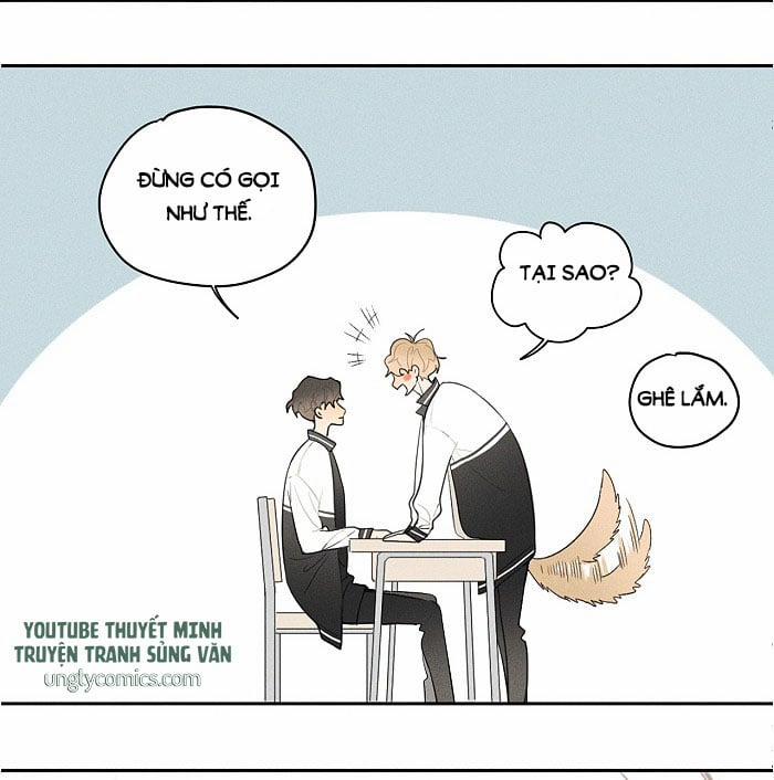 Diêm Hữu 9 trang 19