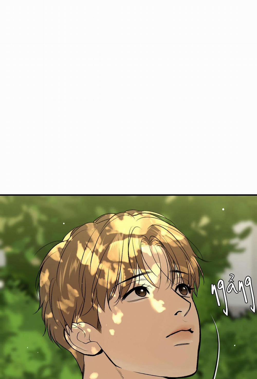 ĐIỀM RỦI 41 trang 13