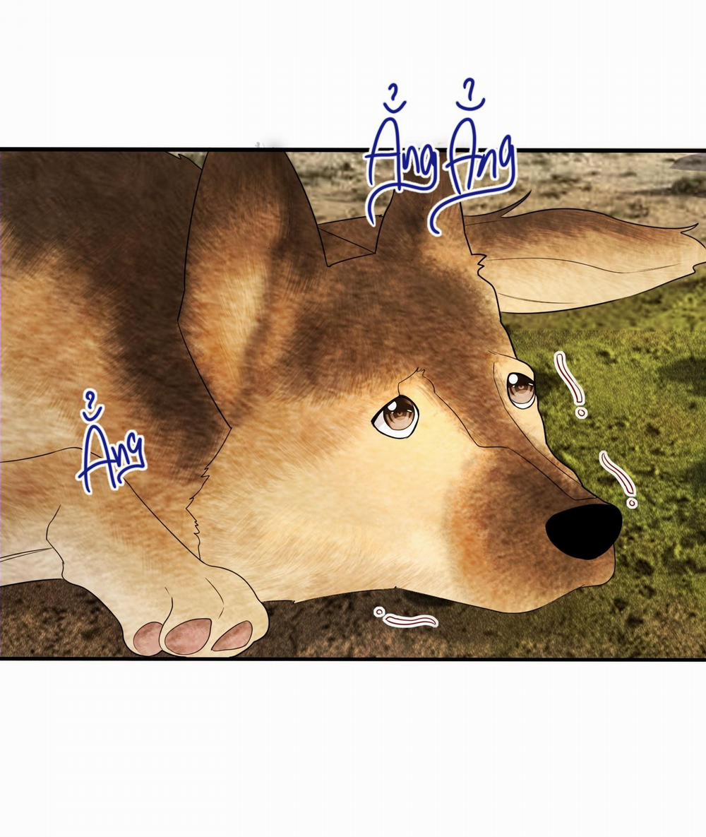 Diễn Giả Làm Thật 13 trang 22