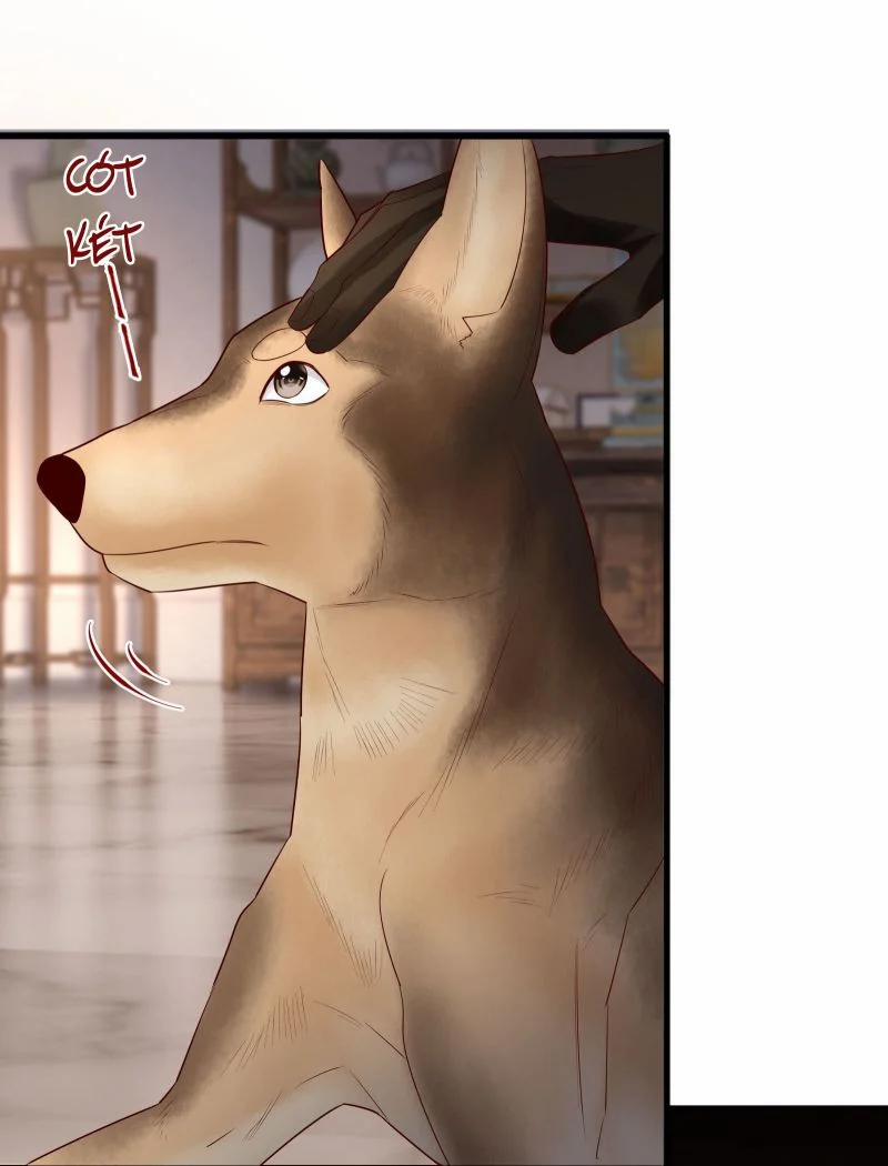 Diễn Giả Làm Thật 71 trang 26