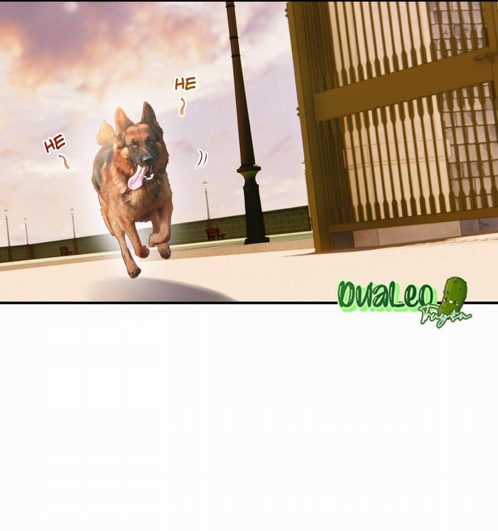 Diễn Giả Làm Thật 8 trang 38