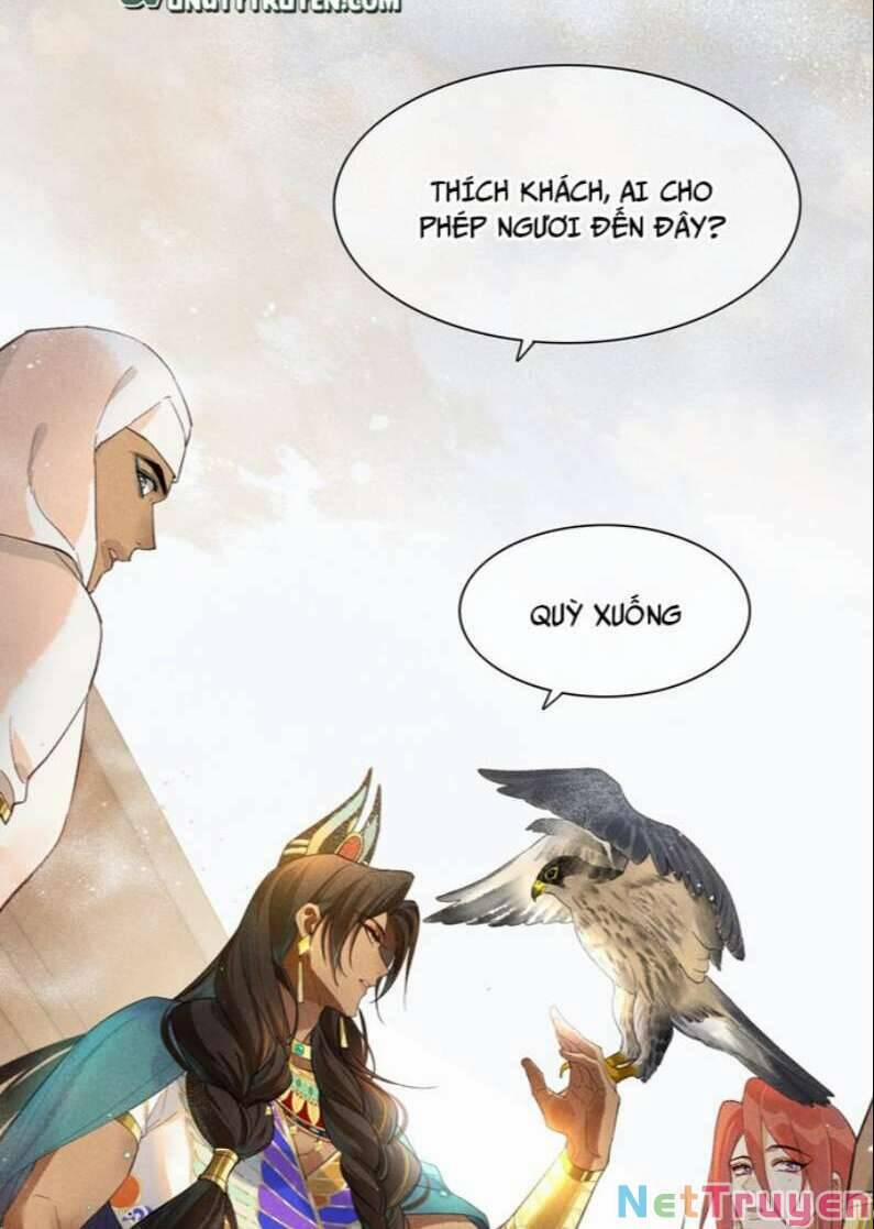 Điện Hạ ! Ta Đang Đến Đây! 11 trang 1