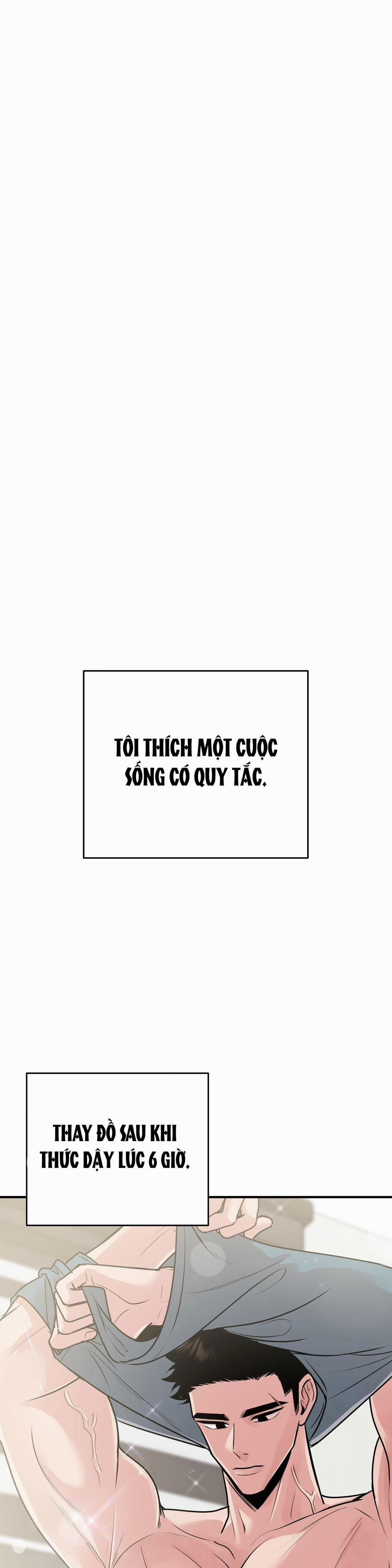 Điều 260 Bộ Luật Hình Sự 1 H+ trang 7