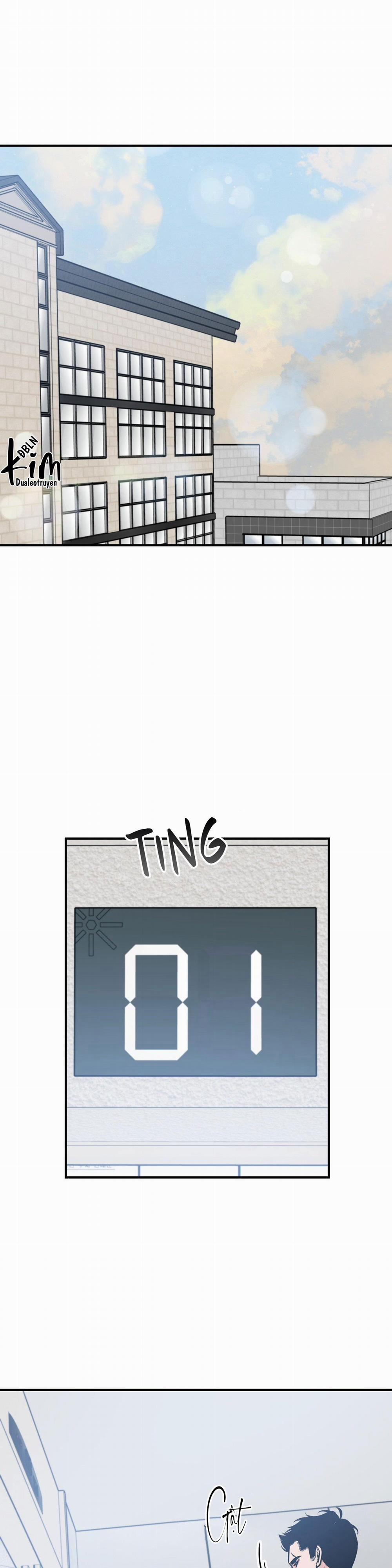 Điều 260 Bộ Luật Hình Sự 1 trang 17