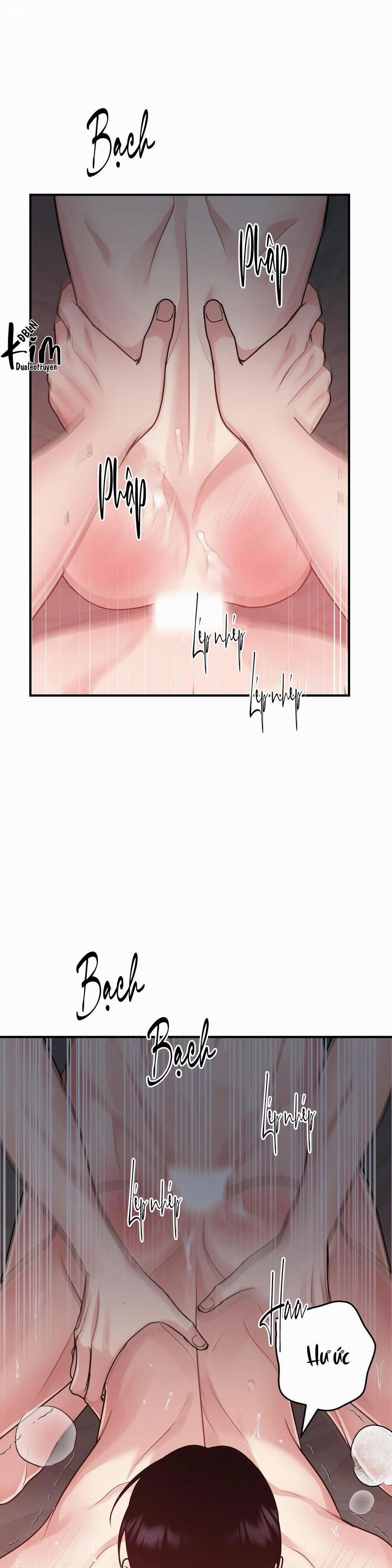 Điều 260 Bộ Luật Hình Sự 1 trang 26