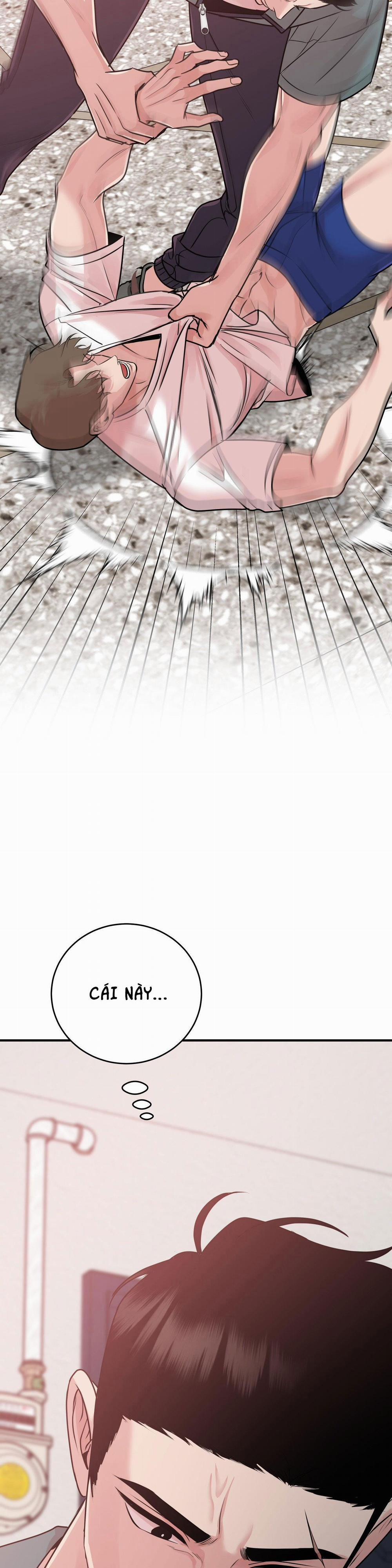 Điều 260 Bộ Luật Hình Sự 1 trang 35