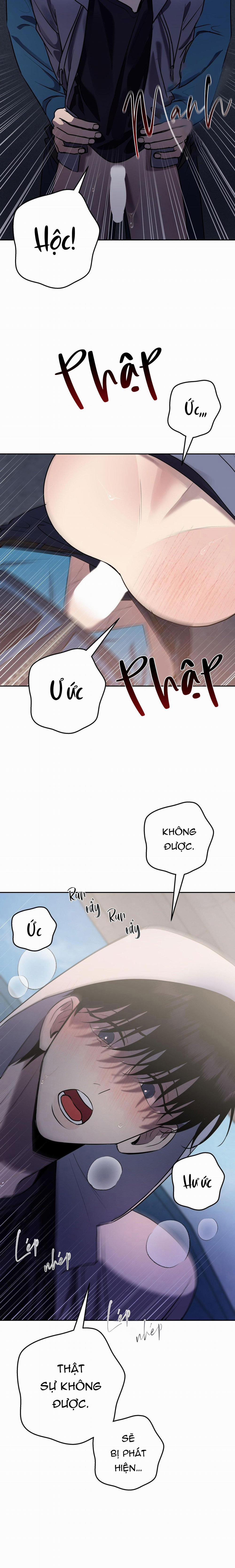 Điều 260 Bộ Luật Hình Sự 10 trang 19