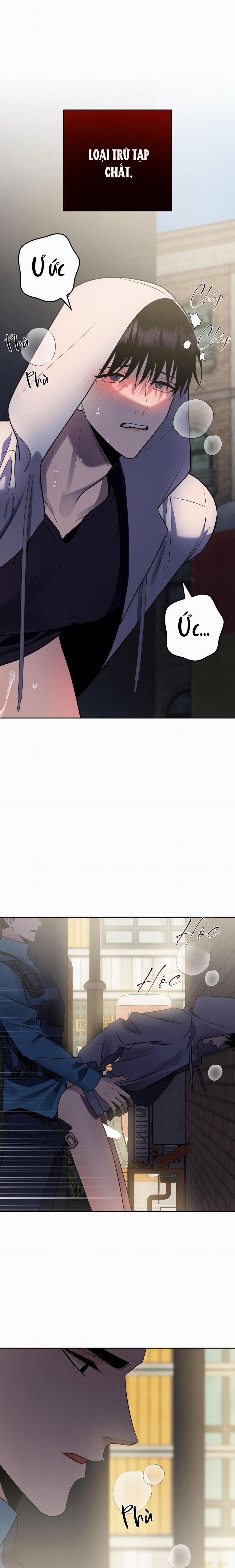 Điều 260 Bộ Luật Hình Sự 10 trang 21