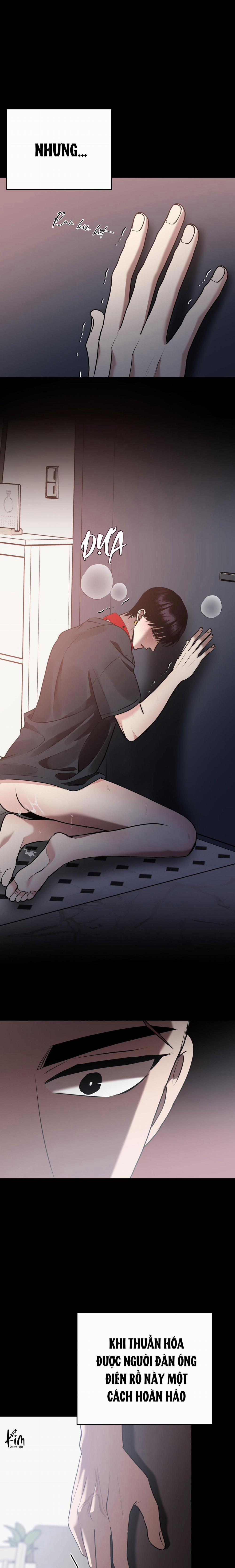 Điều 260 Bộ Luật Hình Sự 10 trang 23