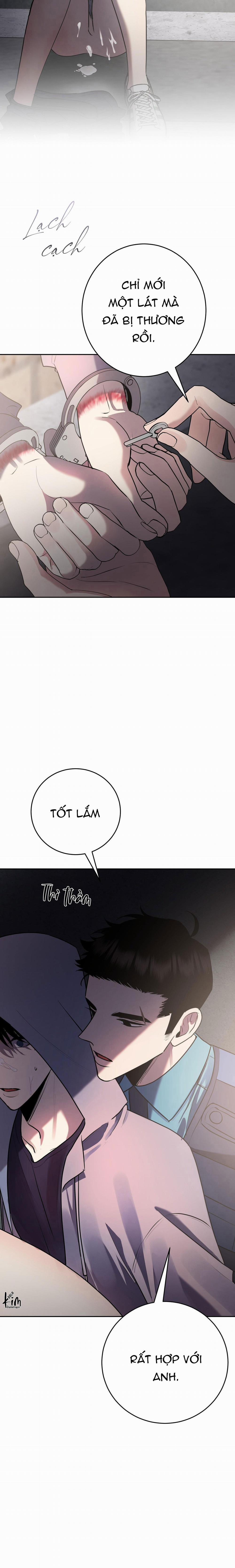 Điều 260 Bộ Luật Hình Sự 10 trang 26