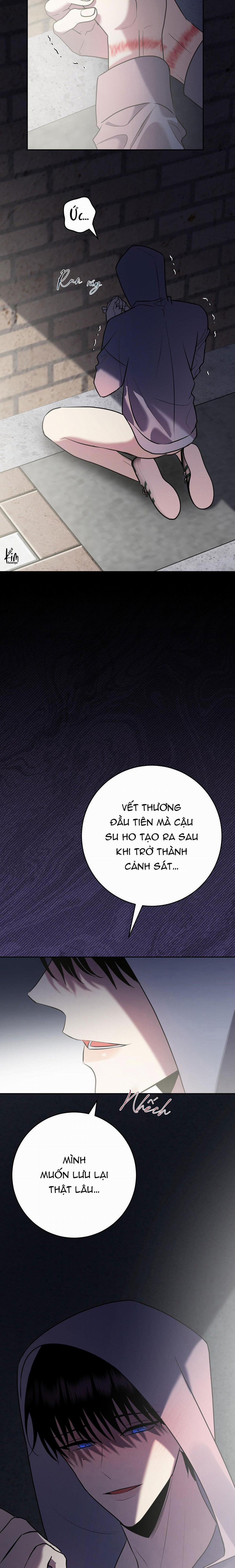 Điều 260 Bộ Luật Hình Sự 10 trang 28