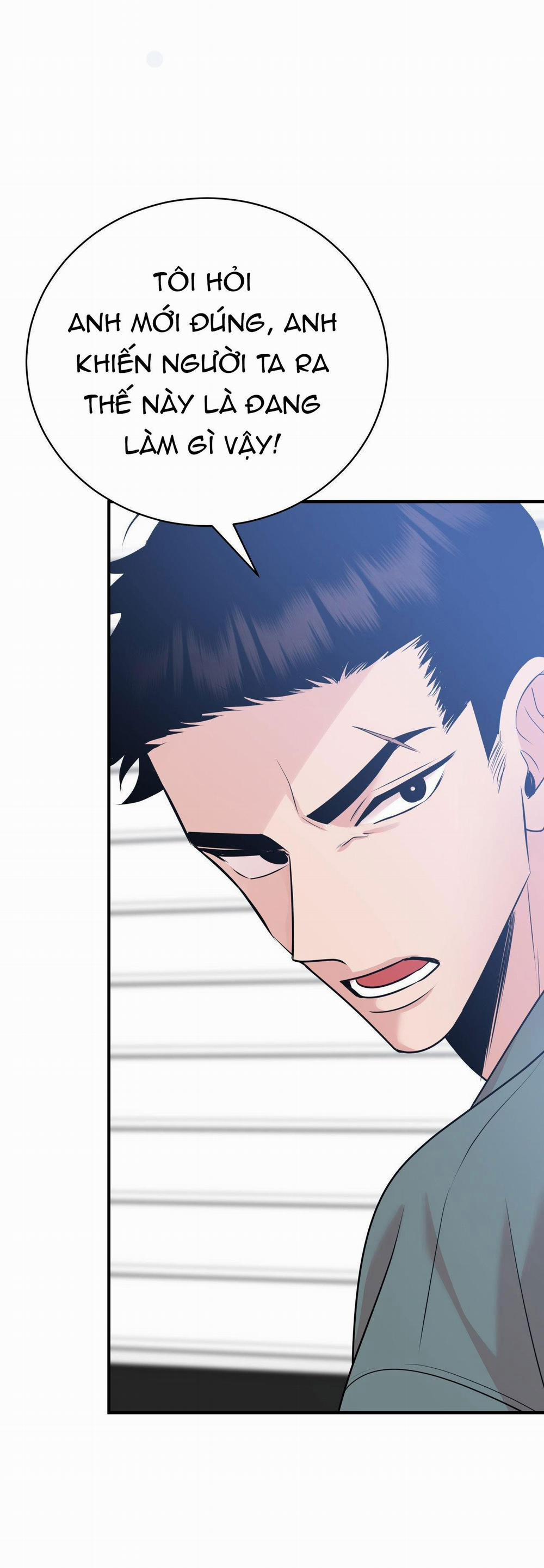 Điều 260 Bộ Luật Hình Sự 2 trang 11