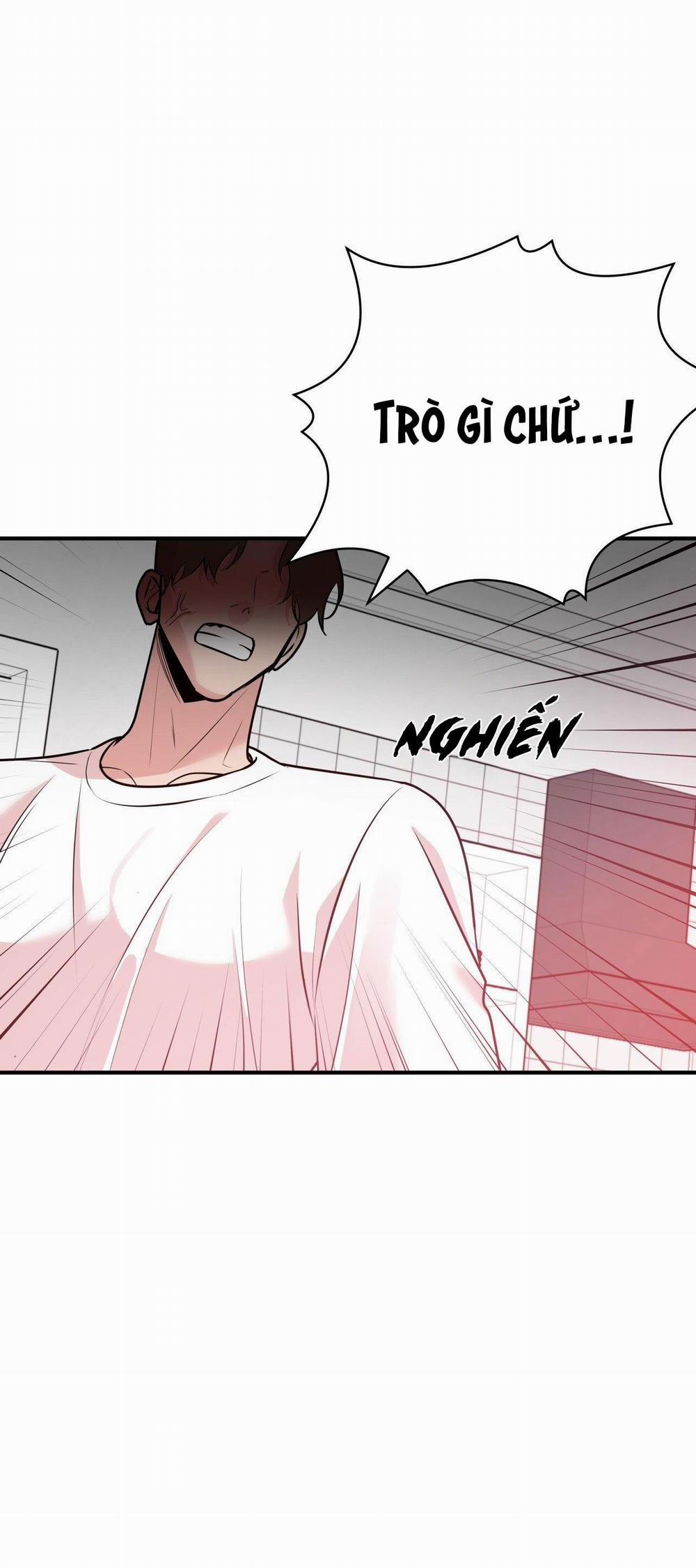 Điều 260 Bộ Luật Hình Sự 2 trang 12