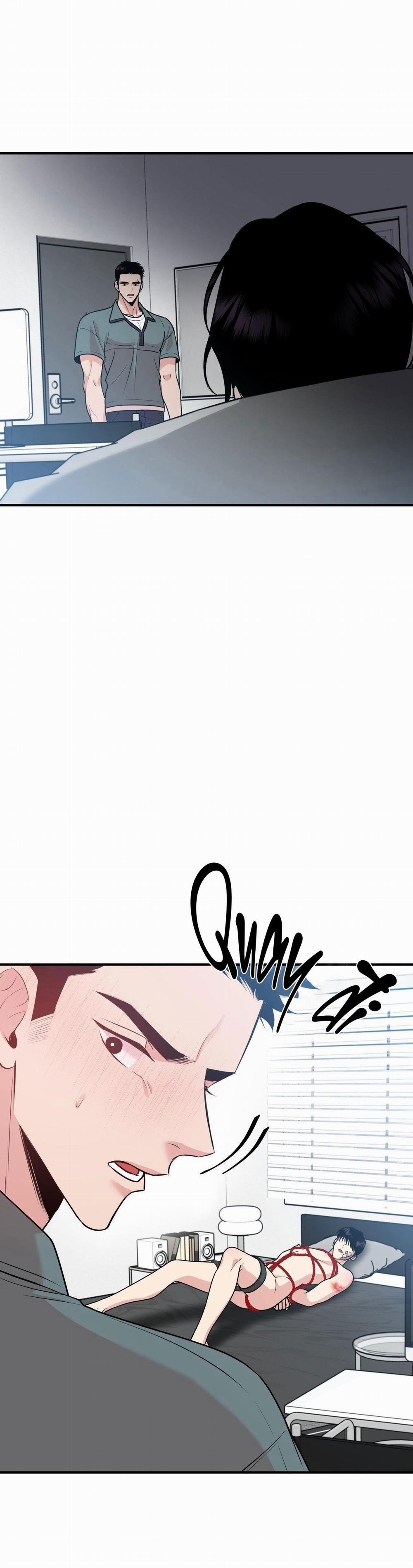 Điều 260 Bộ Luật Hình Sự 2 trang 2