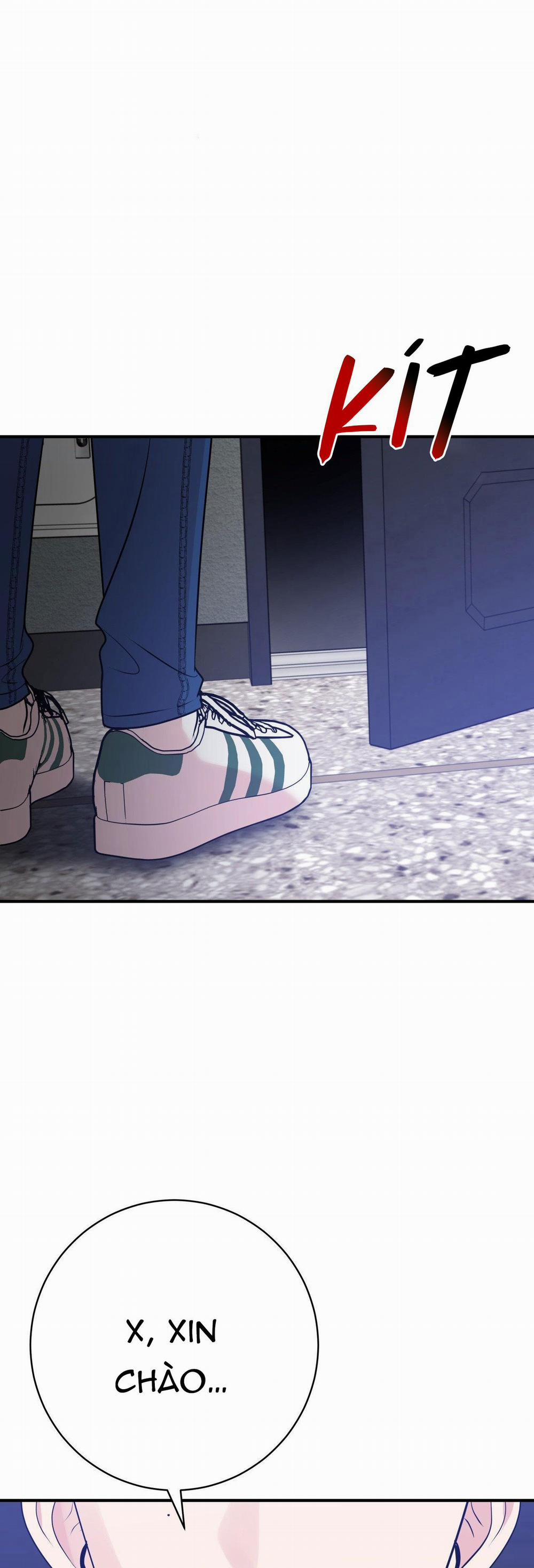 Điều 260 Bộ Luật Hình Sự 2 trang 28