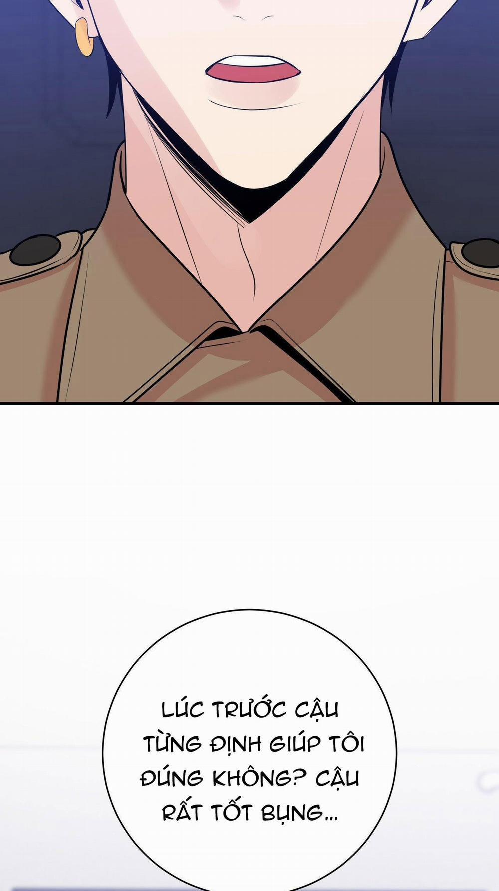 Điều 260 Bộ Luật Hình Sự 2 trang 29