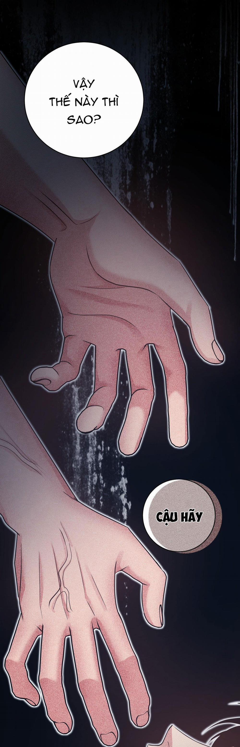 Điều 260 Bộ Luật Hình Sự 2 trang 37