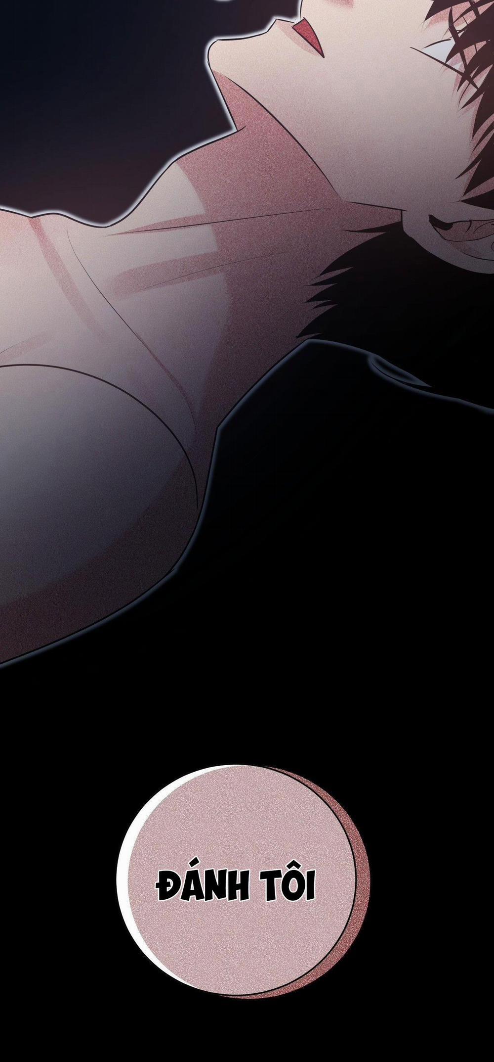 Điều 260 Bộ Luật Hình Sự 2 trang 38