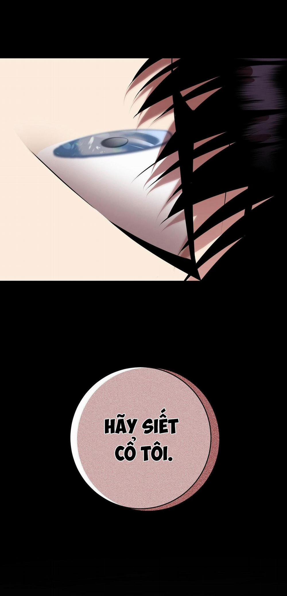 Điều 260 Bộ Luật Hình Sự 2 trang 39