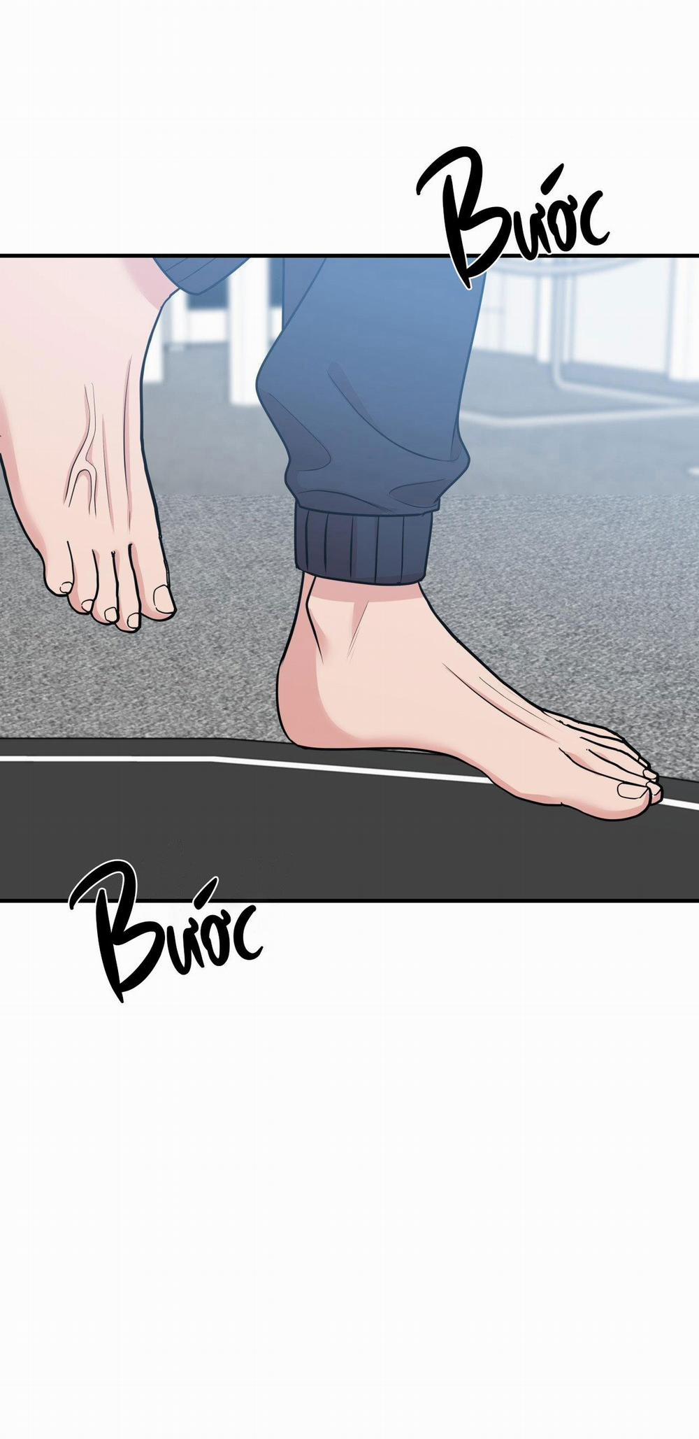 Điều 260 Bộ Luật Hình Sự 2 trang 4