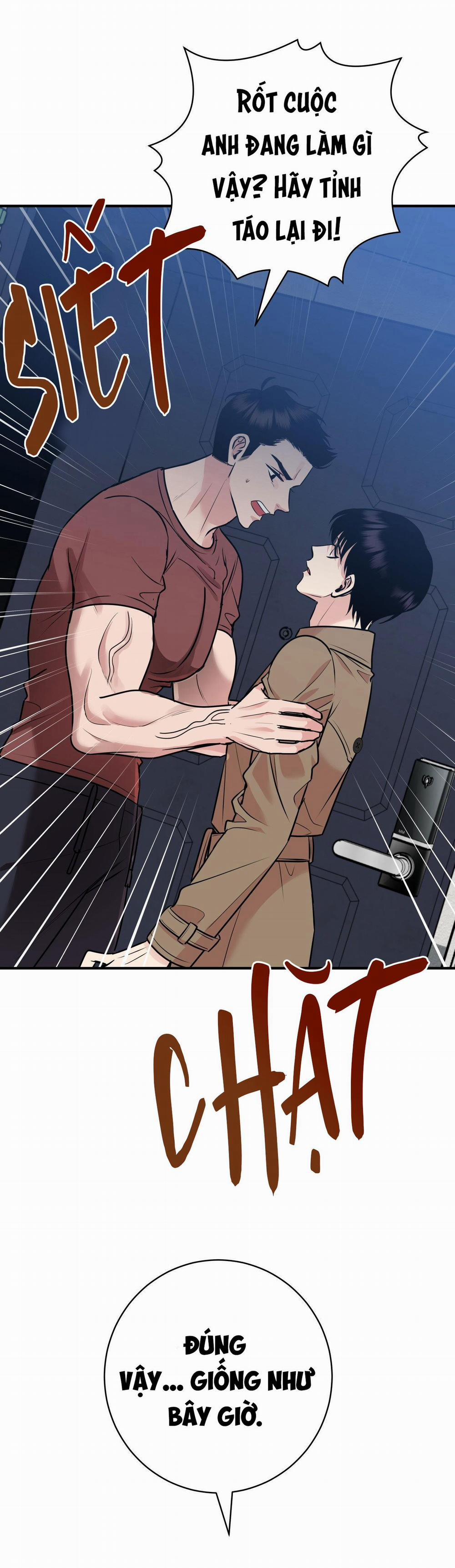 Điều 260 Bộ Luật Hình Sự 2 trang 42