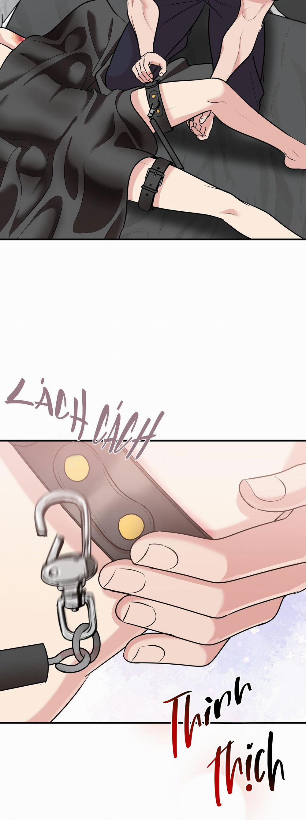 Điều 260 Bộ Luật Hình Sự 2 trang 8