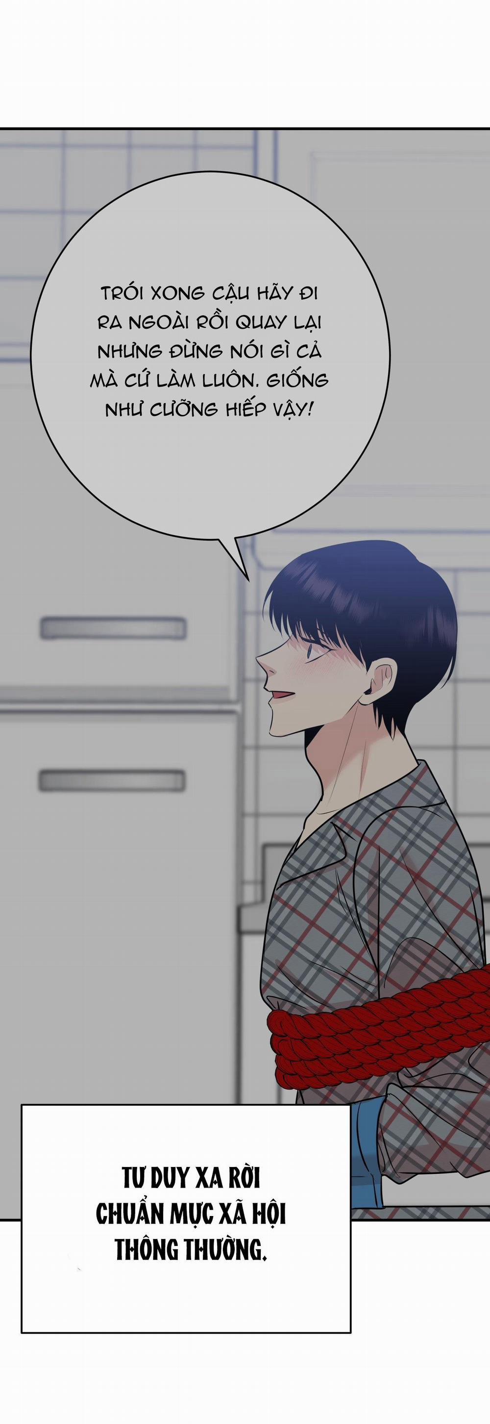 Điều 260 Bộ Luật Hình Sự 3 trang 16