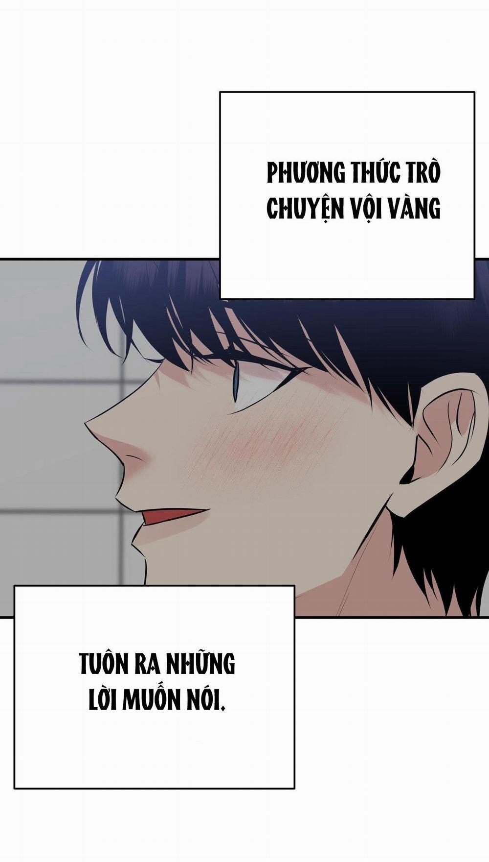 Điều 260 Bộ Luật Hình Sự 3 trang 17