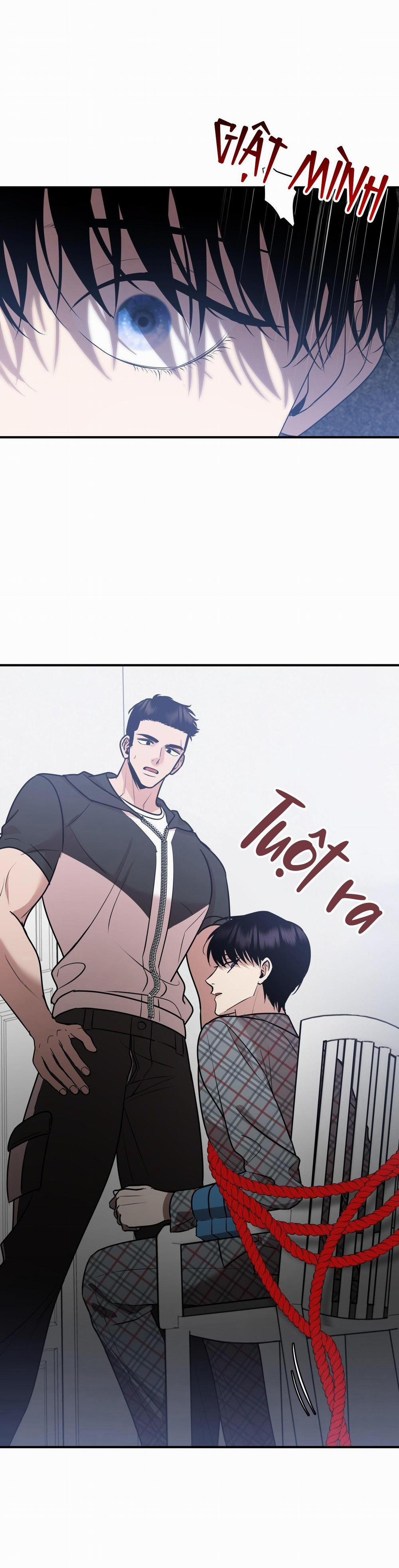 Điều 260 Bộ Luật Hình Sự 3 trang 31