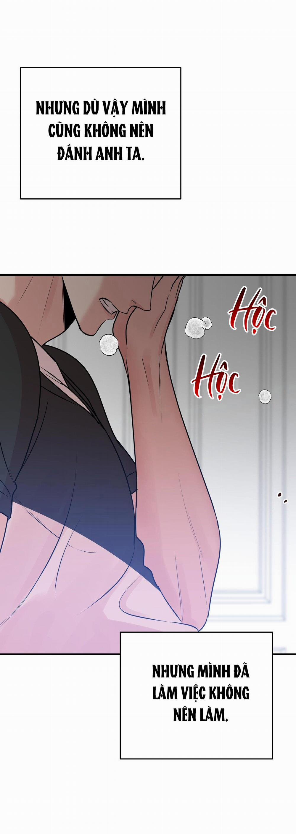 Điều 260 Bộ Luật Hình Sự 3 trang 47