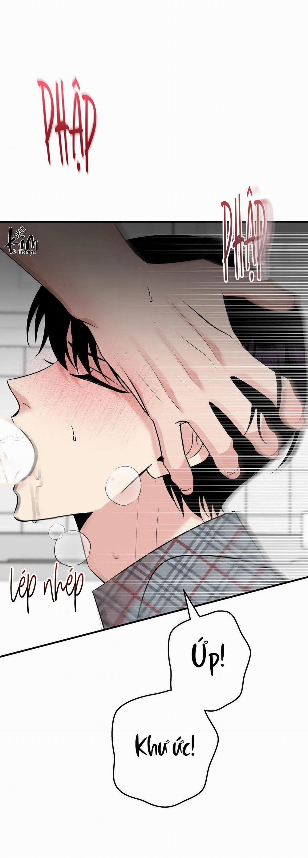 Điều 260 Bộ Luật Hình Sự 4 trang 11