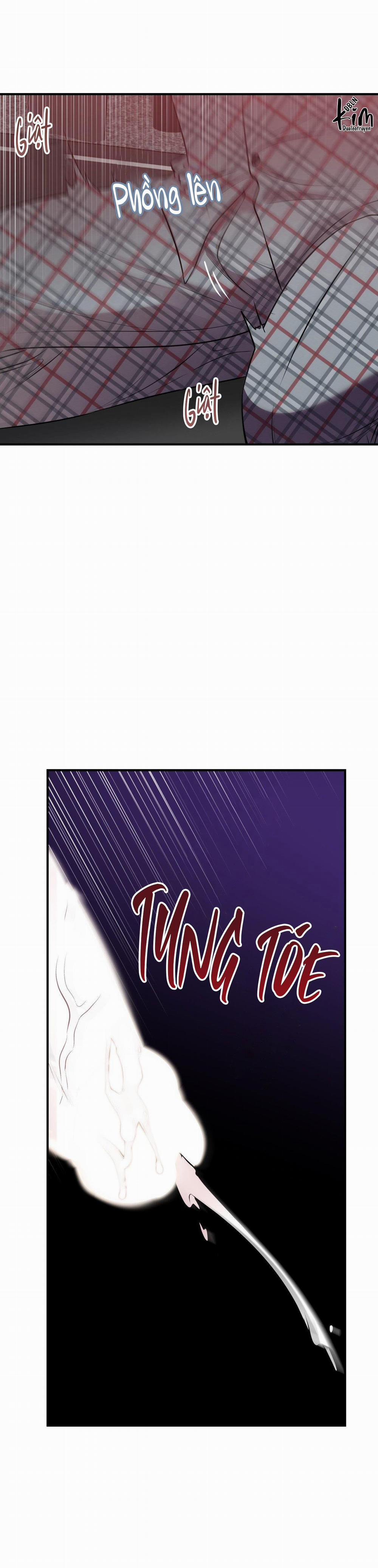 Điều 260 Bộ Luật Hình Sự 4 trang 13