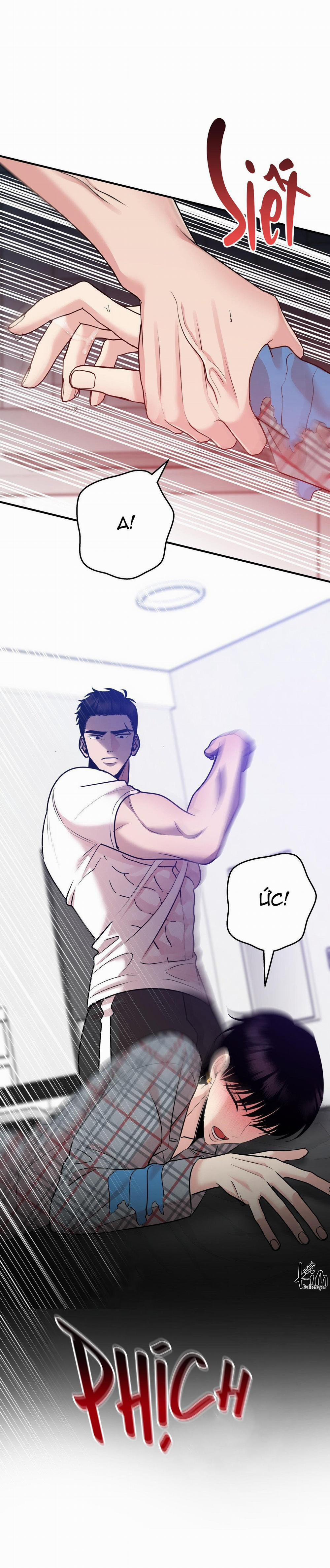 Điều 260 Bộ Luật Hình Sự 4 trang 18