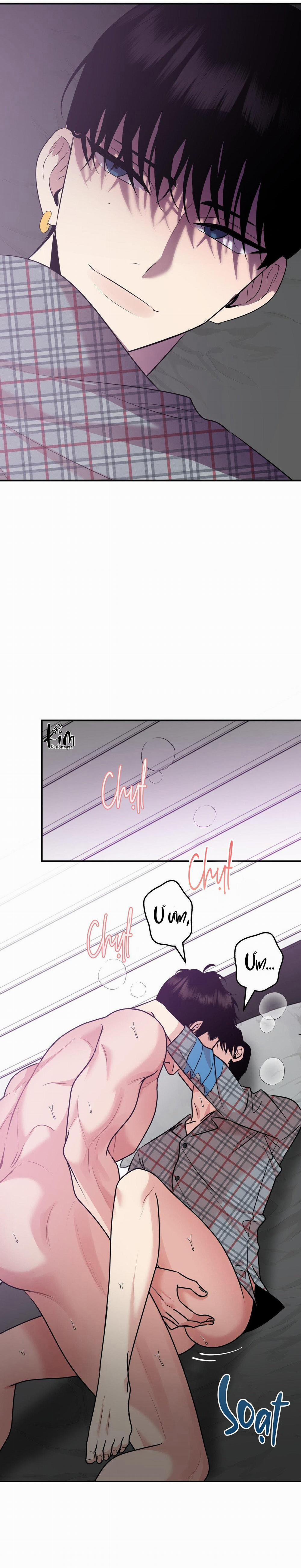 Điều 260 Bộ Luật Hình Sự 4 trang 20