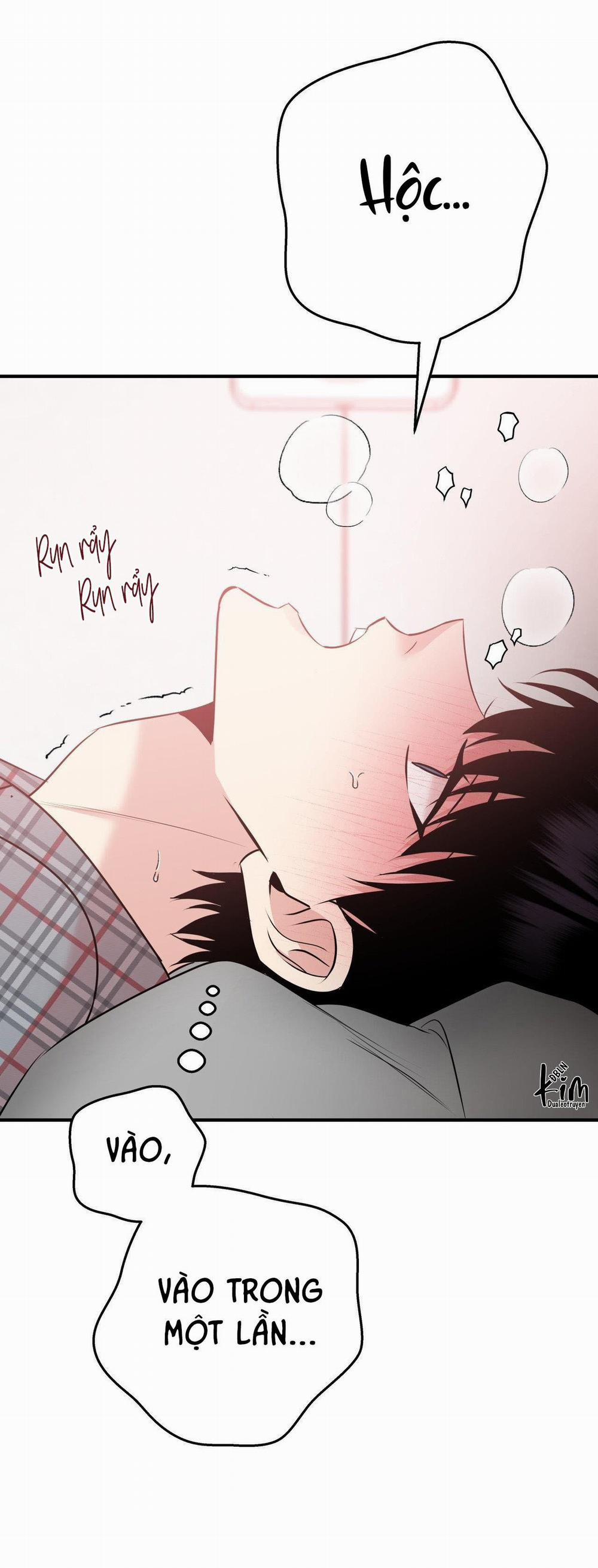 Điều 260 Bộ Luật Hình Sự 4 trang 25