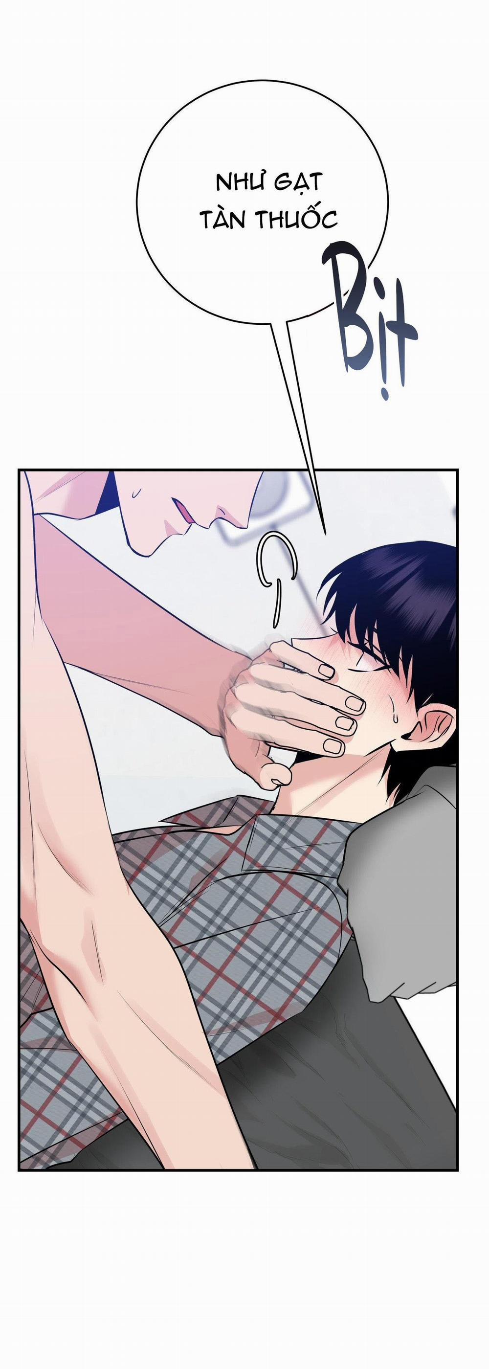 Điều 260 Bộ Luật Hình Sự 4 trang 42