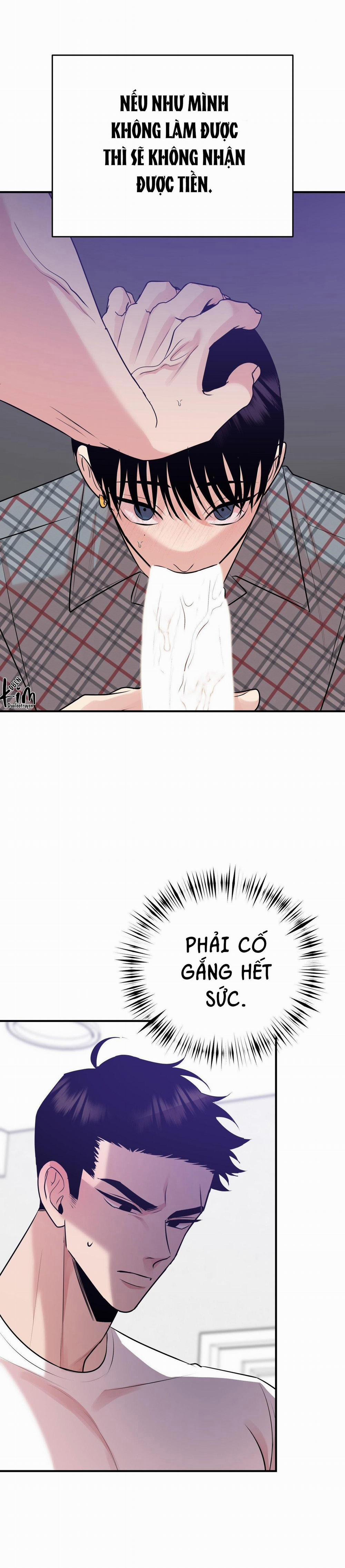 Điều 260 Bộ Luật Hình Sự 4 trang 8