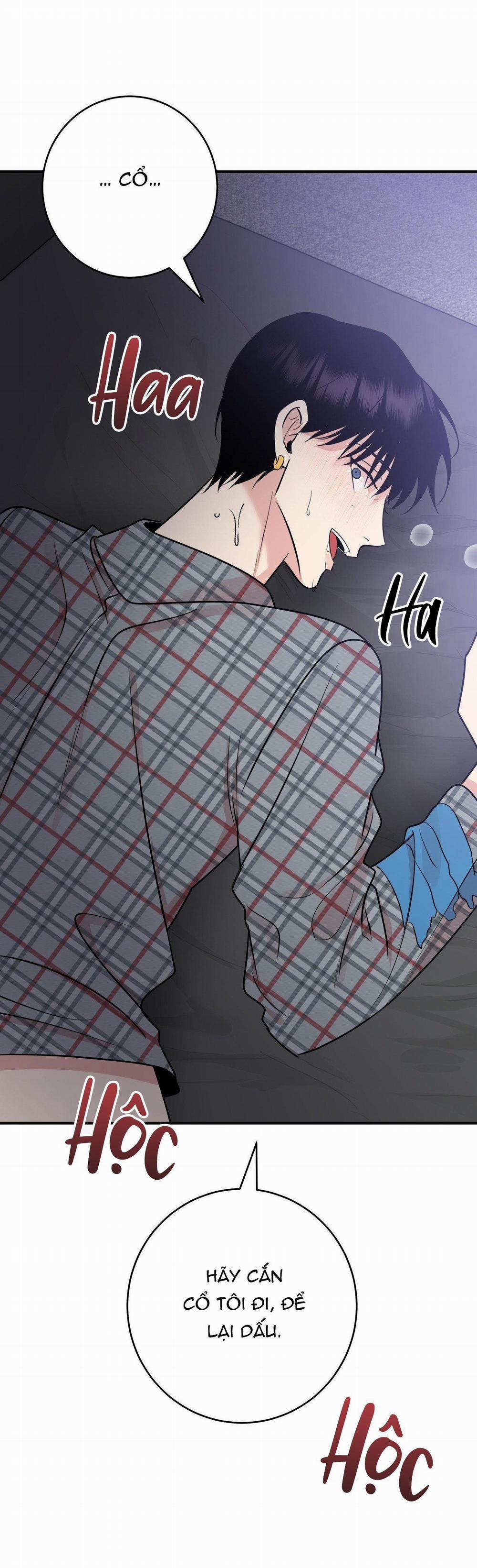 Điều 260 Bộ Luật Hình Sự 5 trang 10