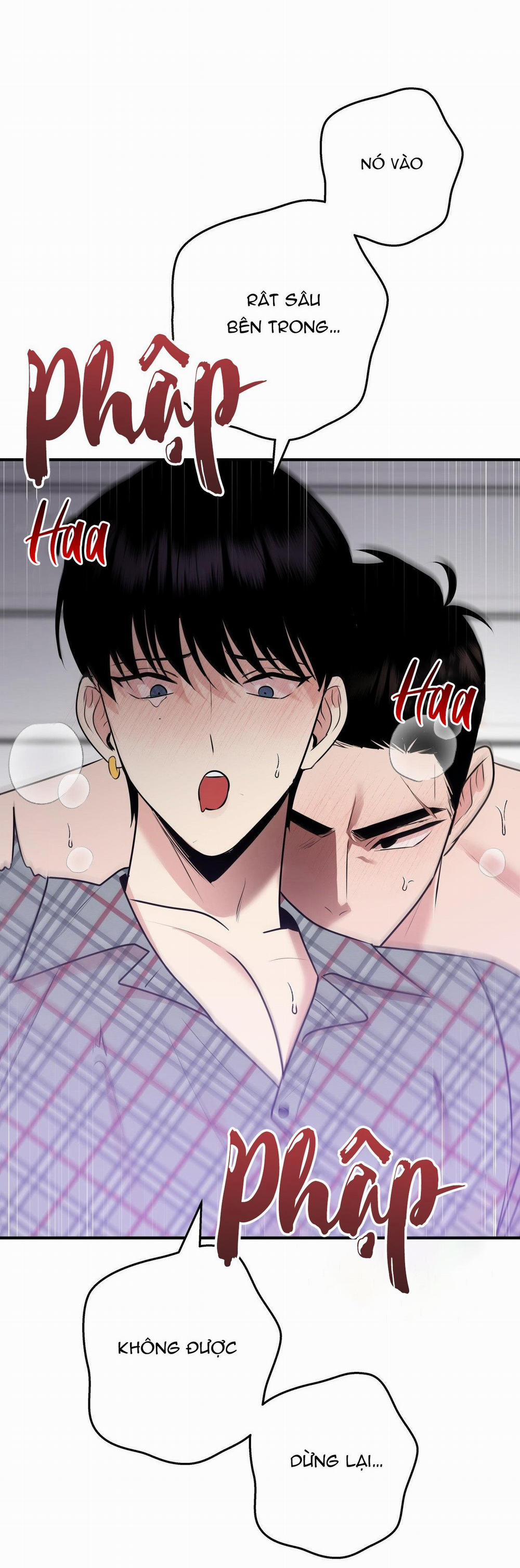 Điều 260 Bộ Luật Hình Sự 5 trang 18