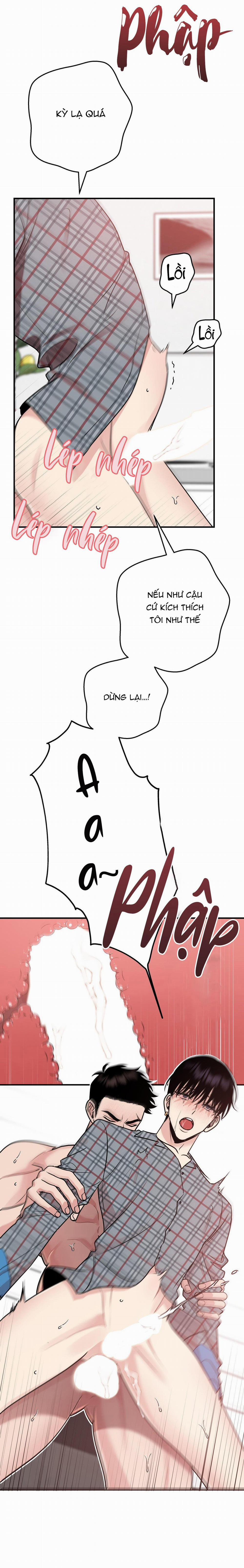 Điều 260 Bộ Luật Hình Sự 5 trang 19