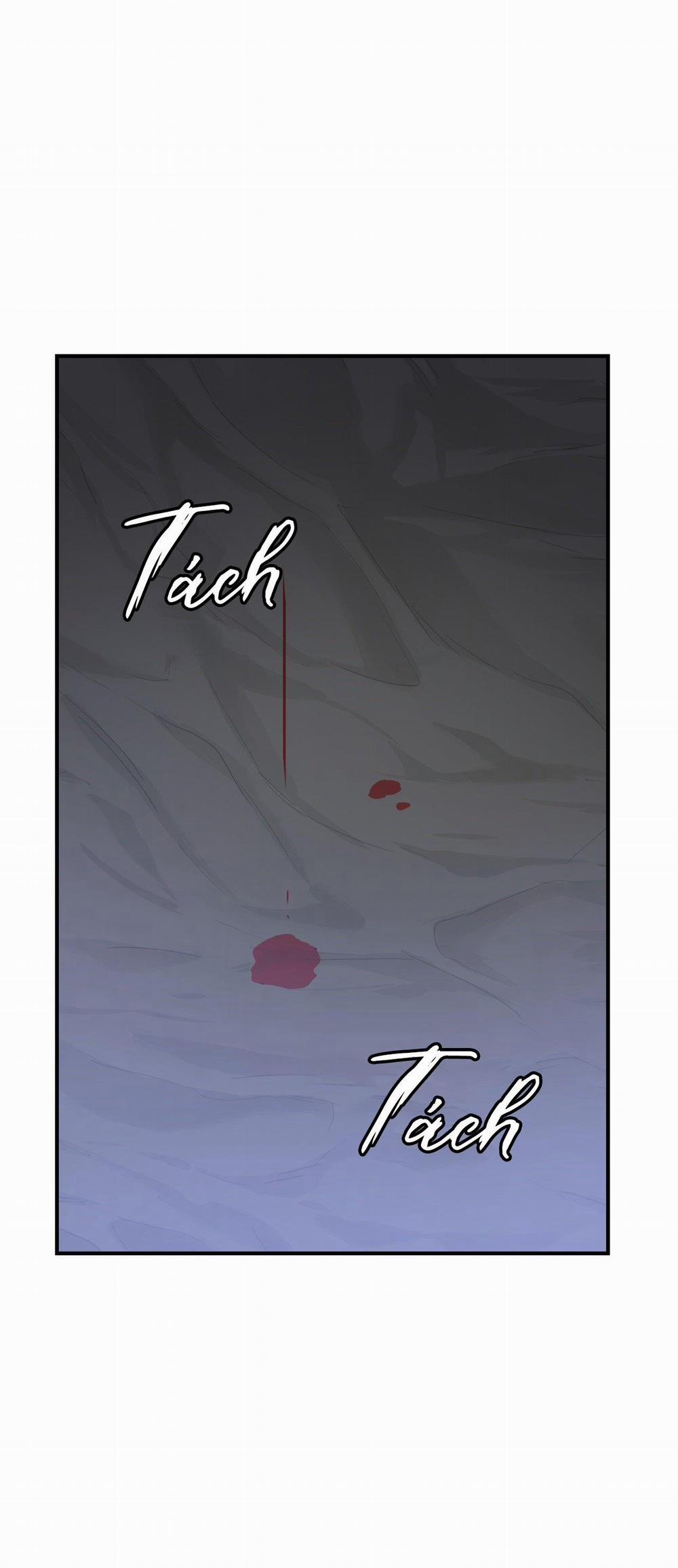 Điều 260 Bộ Luật Hình Sự 5 trang 23