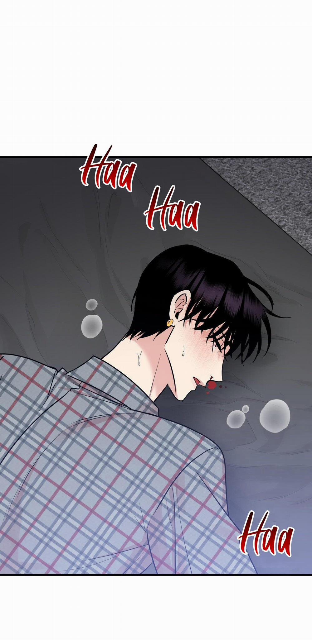 Điều 260 Bộ Luật Hình Sự 5 trang 24