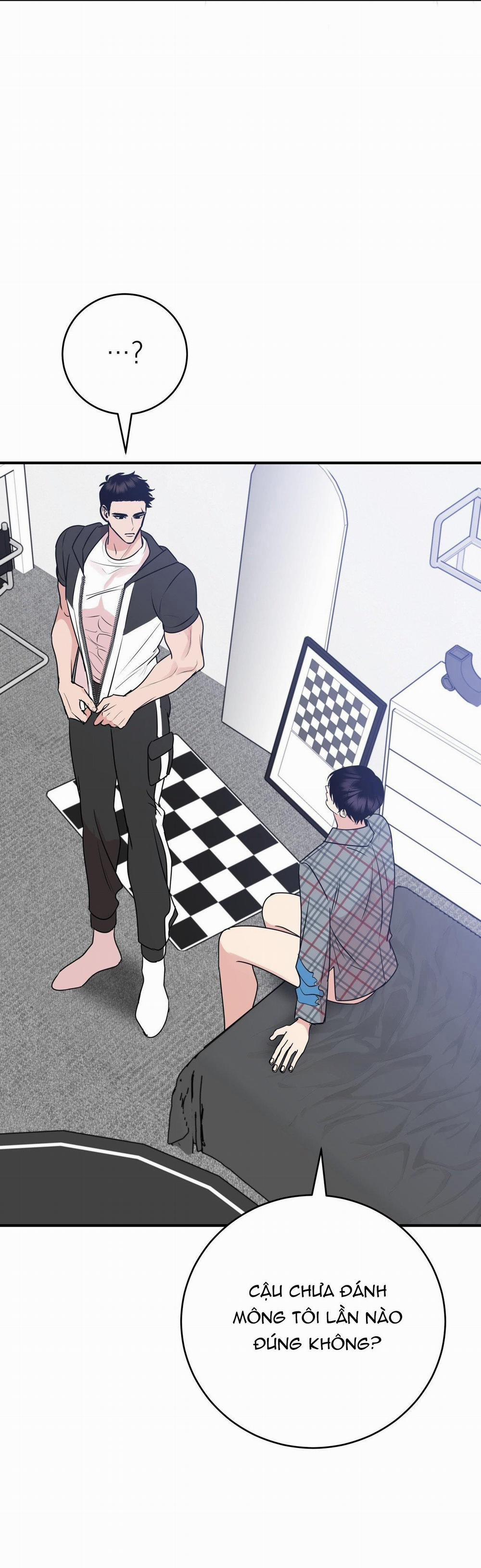 Điều 260 Bộ Luật Hình Sự 5 trang 28