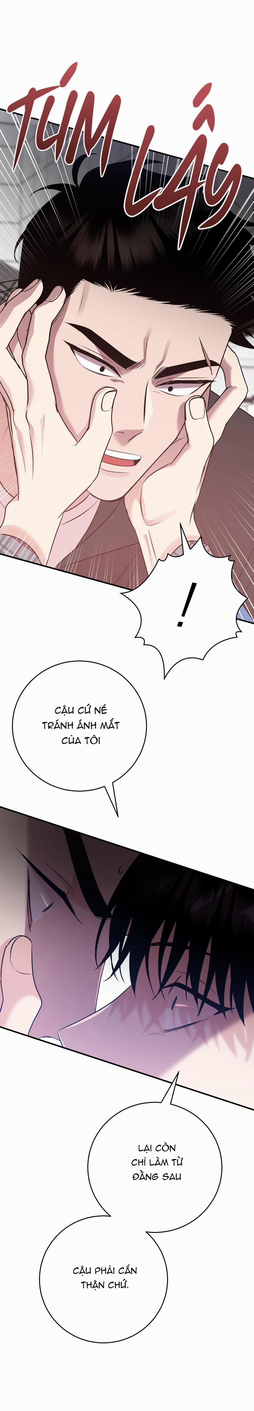 Điều 260 Bộ Luật Hình Sự 5 trang 42