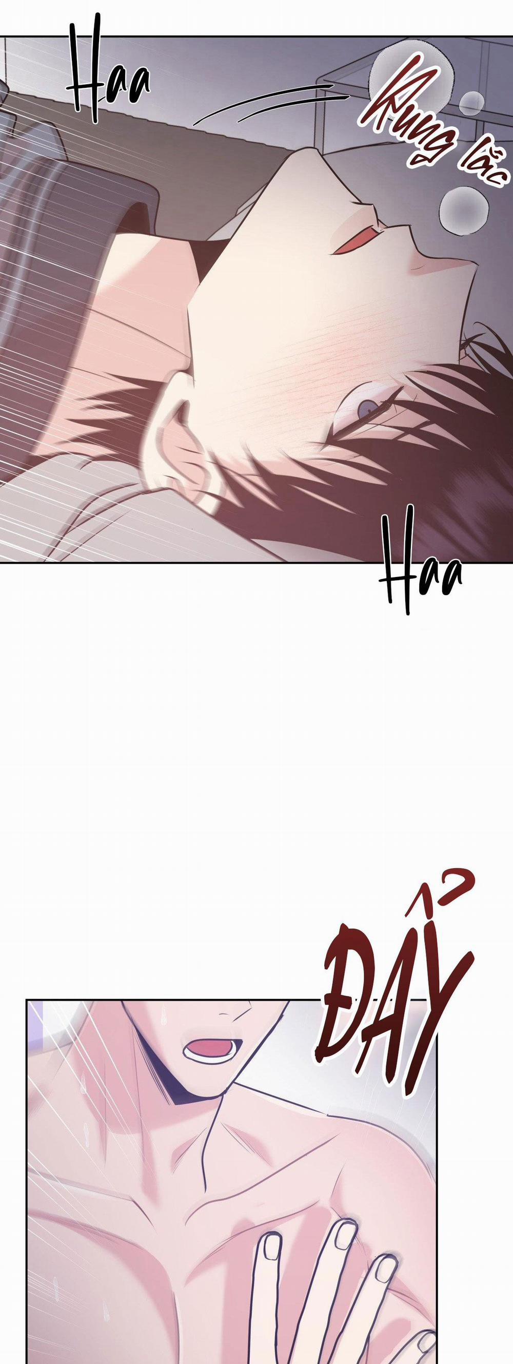 Điều 260 Bộ Luật Hình Sự 6 trang 24