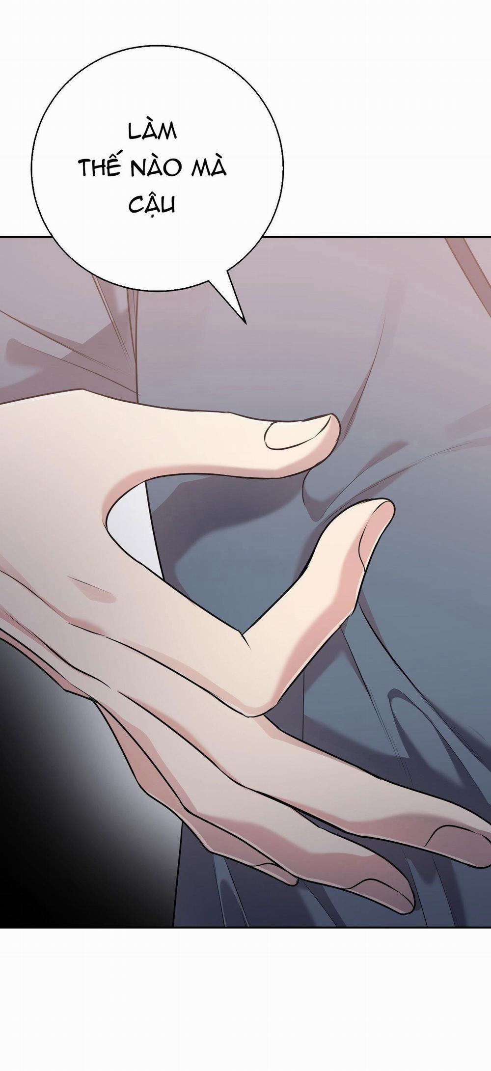 Điều 260 Bộ Luật Hình Sự 6 trang 5