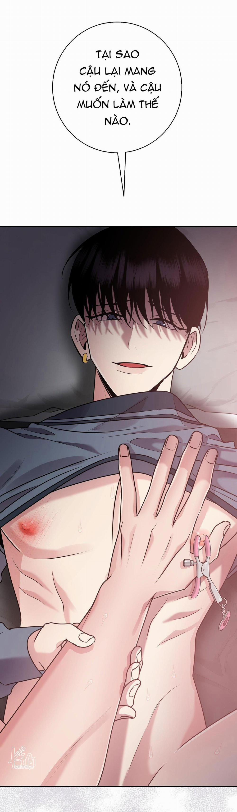 Điều 260 Bộ Luật Hình Sự 6 trang 51