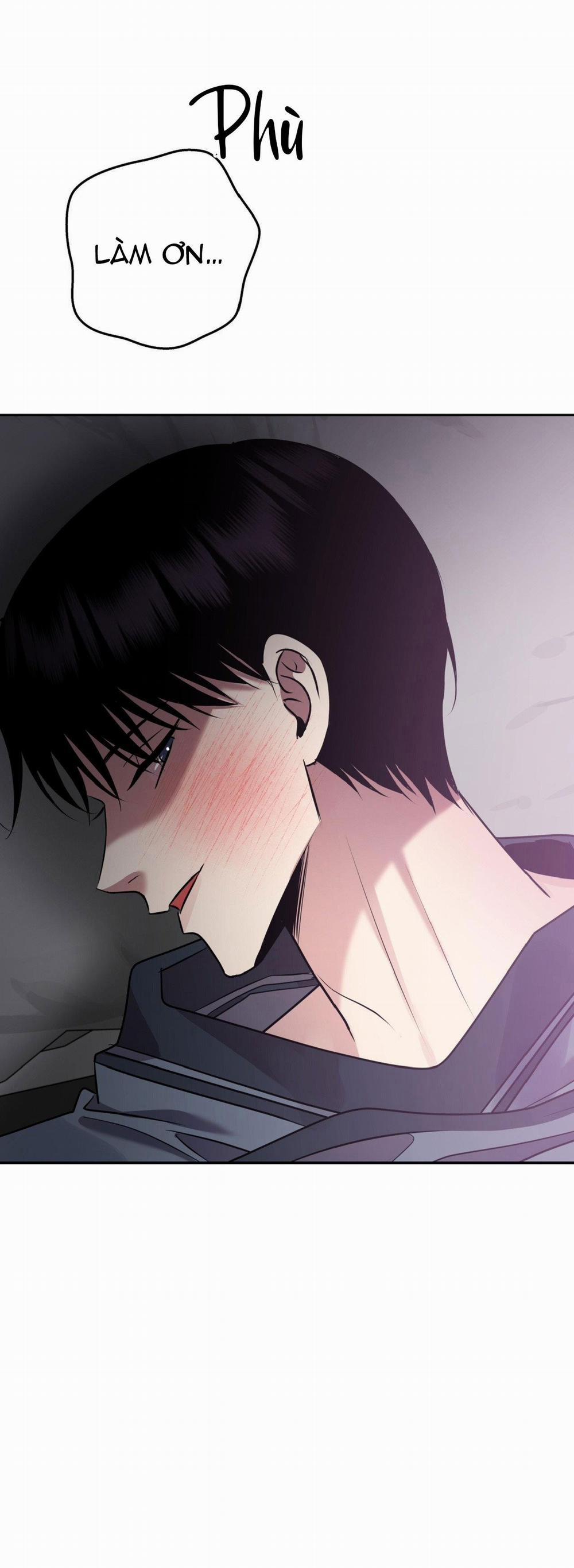 Điều 260 Bộ Luật Hình Sự 6 trang 64