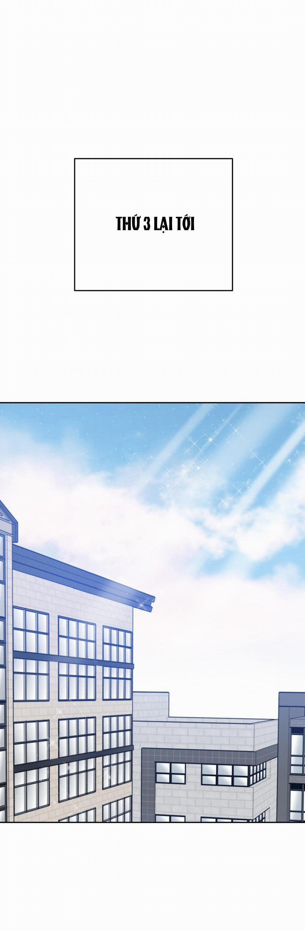 Điều 260 Bộ Luật Hình Sự 7 trang 26