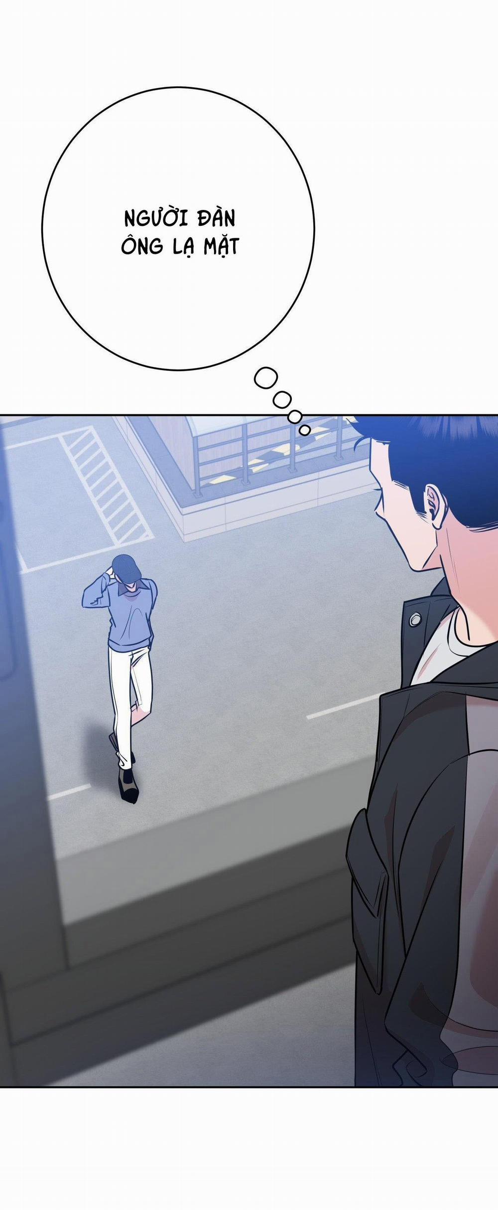 Điều 260 Bộ Luật Hình Sự 7 trang 28